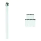 Mehrfachpackung 25x Philips TL Mini 8W 840 Super 80 (MASTER) | 29cm - Kaltweiß
